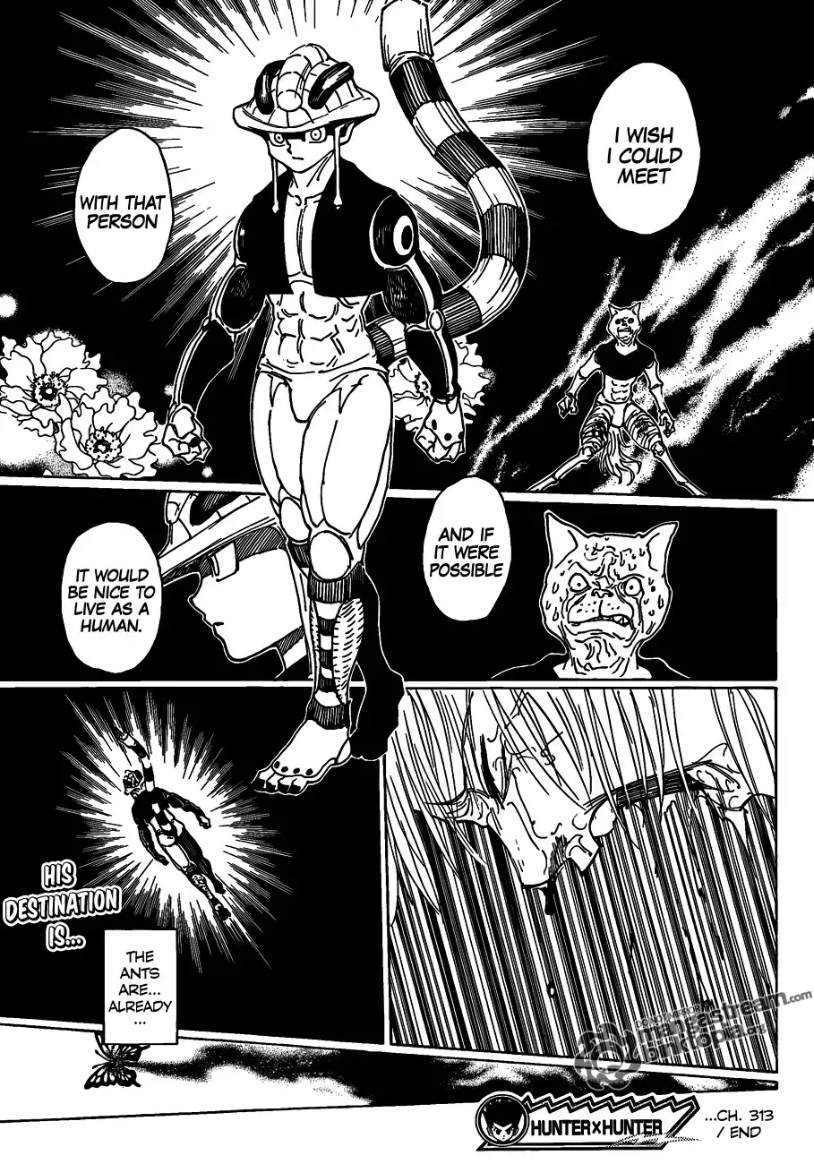 Hunter x Hunter Chapter 313 15